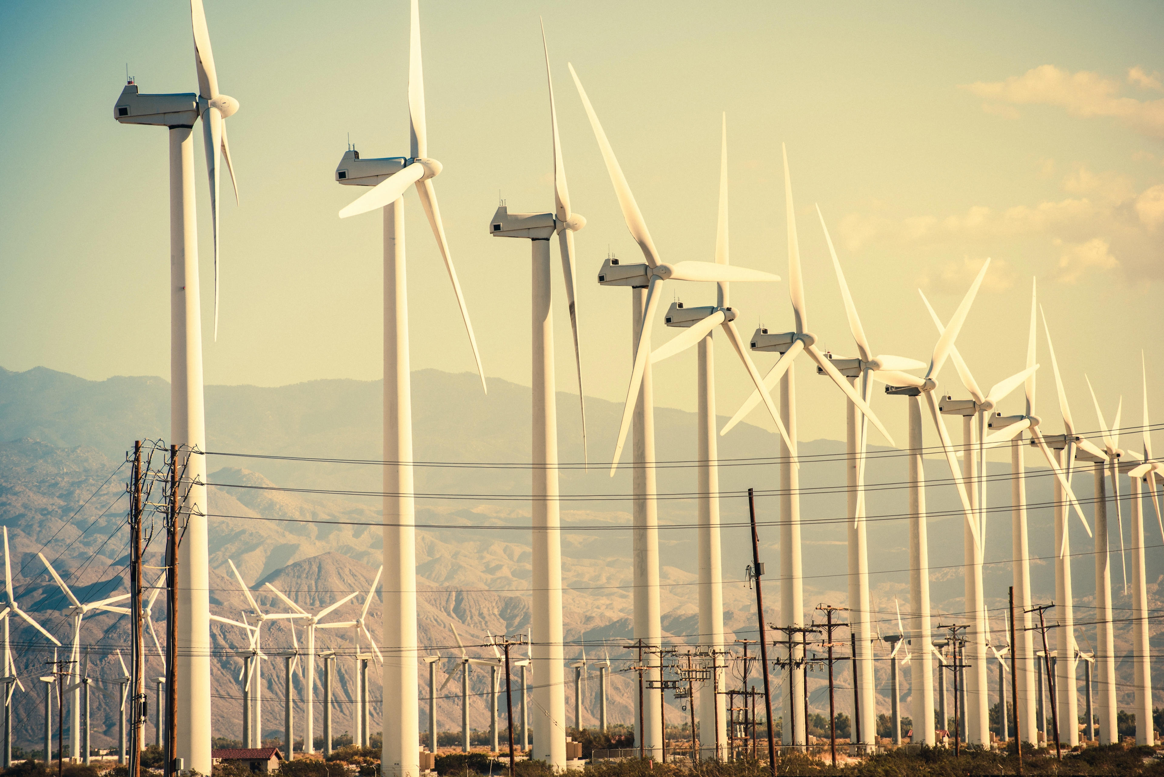 20251021 - Dumat Al Jandal wind farm.jpg