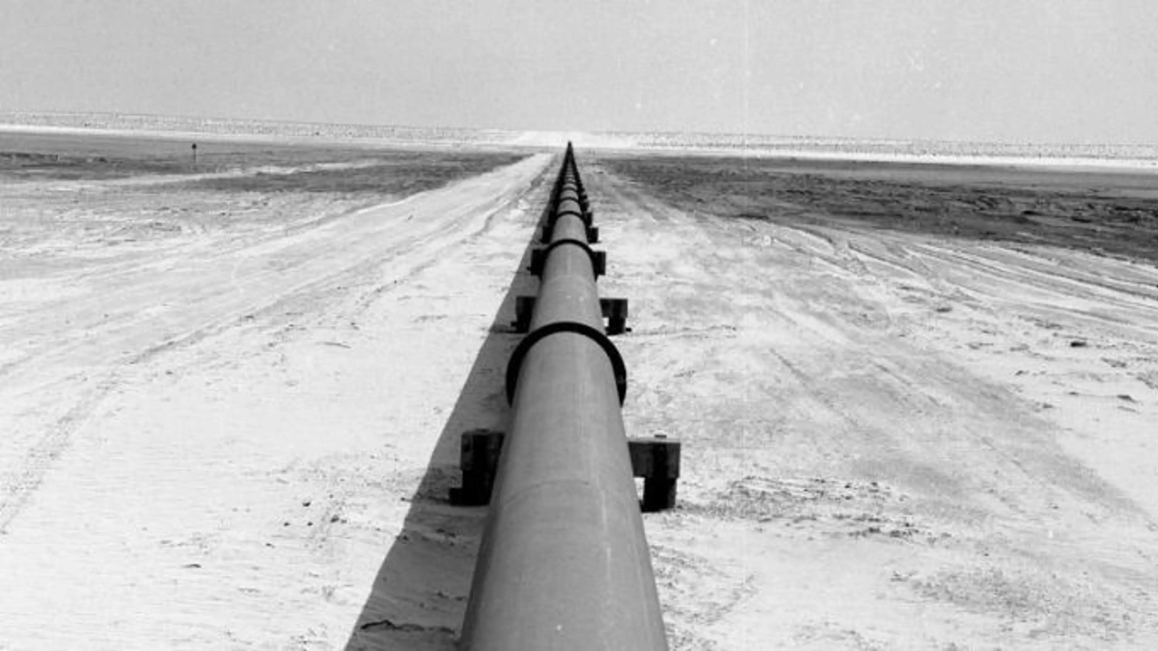 2026-04-08 Saudi approach to national resilience